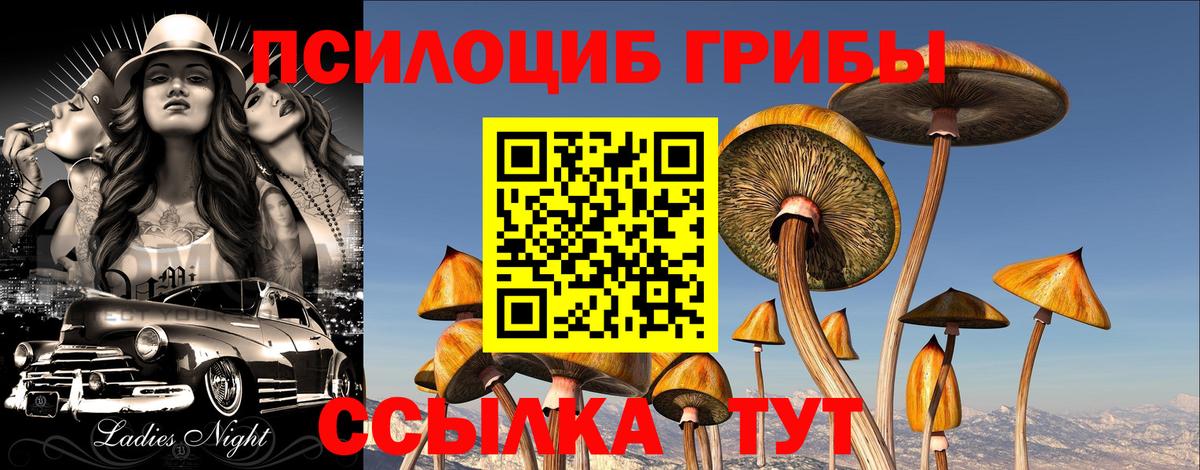 Волгодонск  Галлюциногенные грибы ЛСД  Вход с VPN 